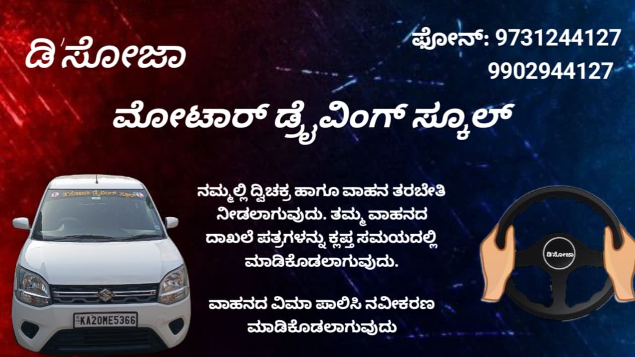 D'Souza  driveing school