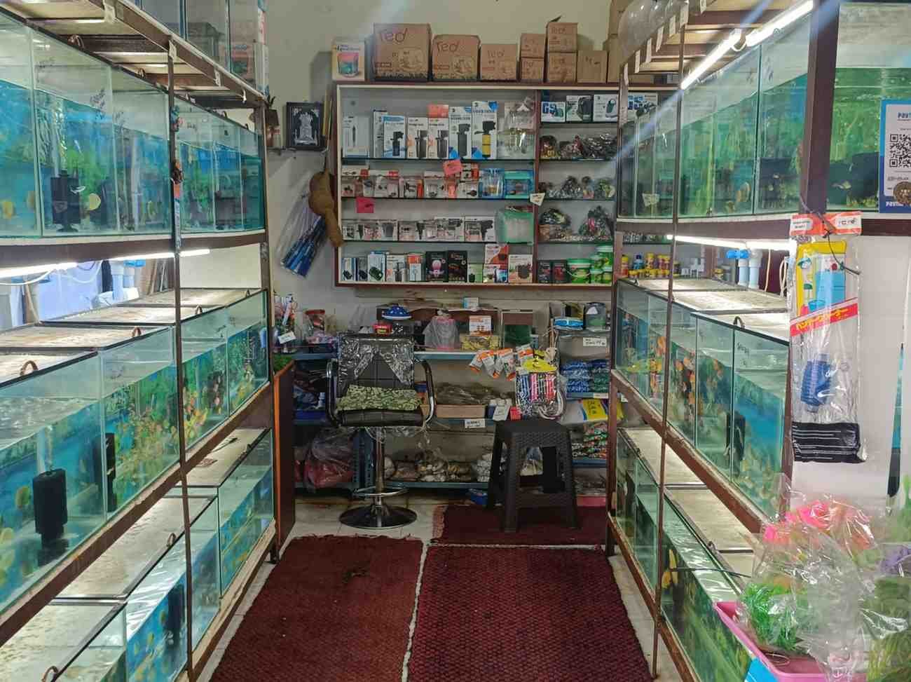 AQUA  PALACE image 1
