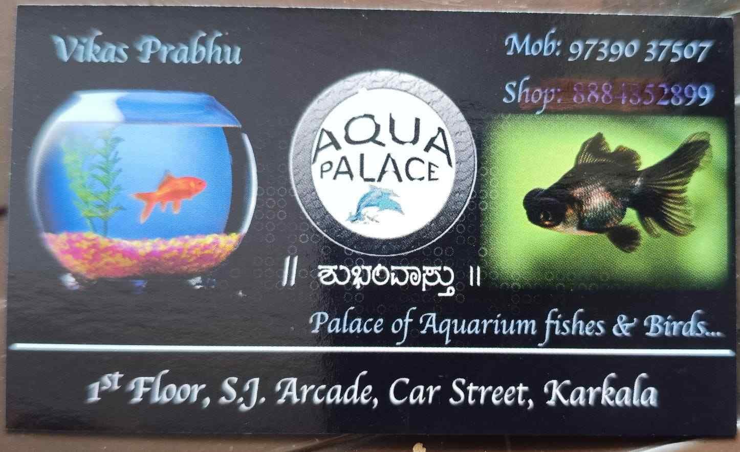 AQUA  PALACE image 2
