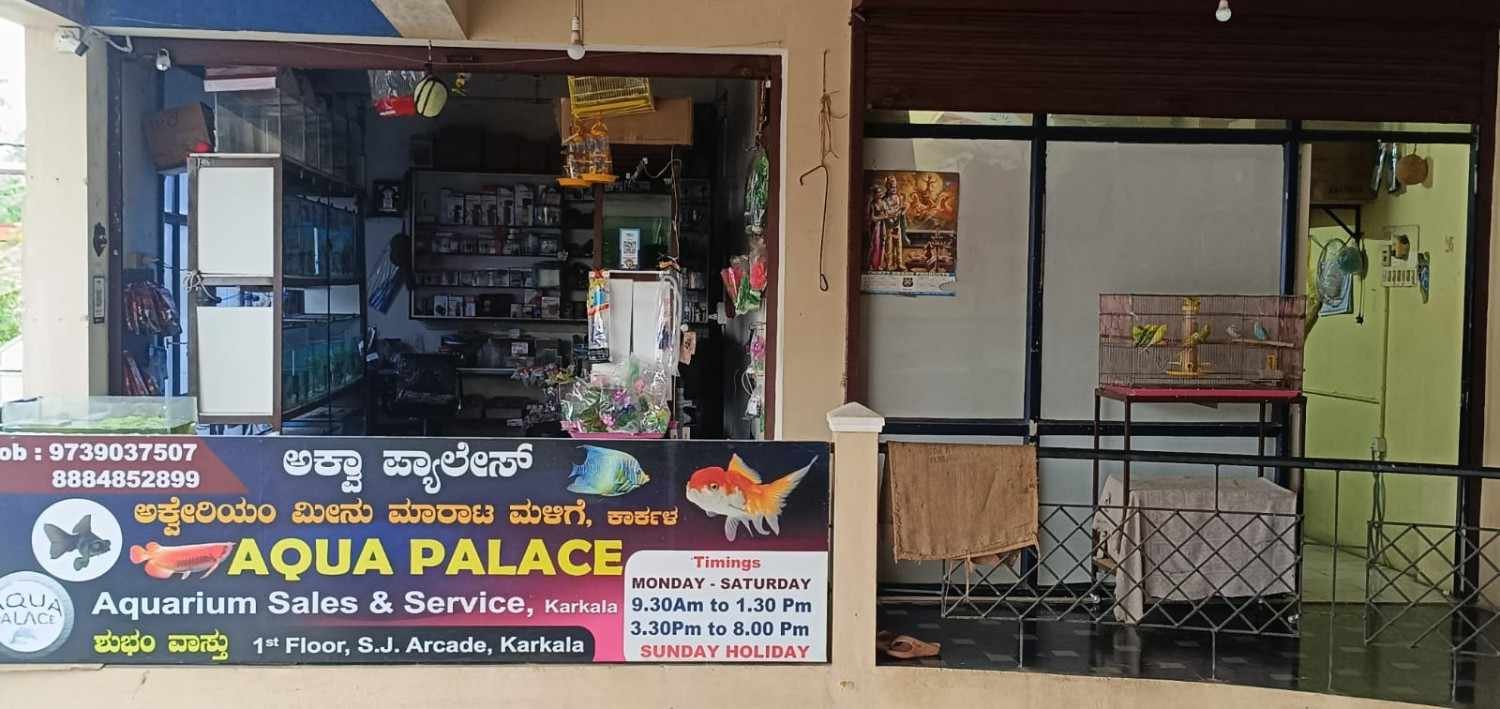 AQUA  PALACE