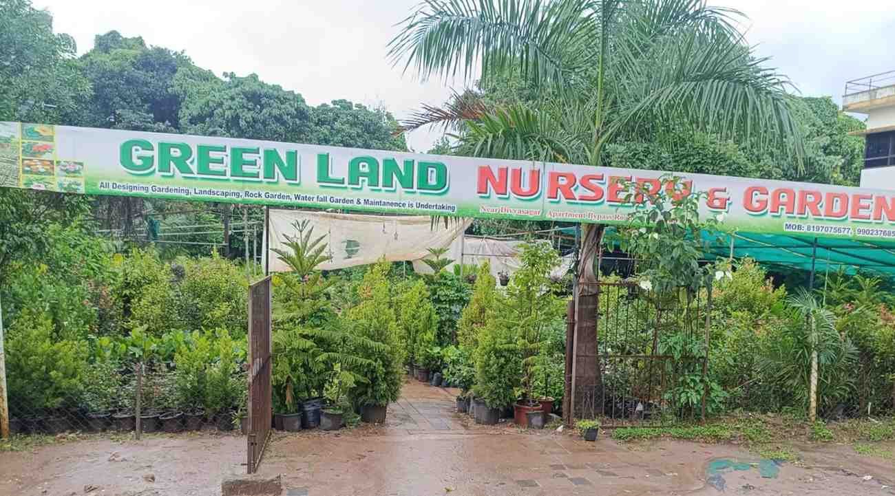 GREEN  LAND NURSERY & GARDEN
