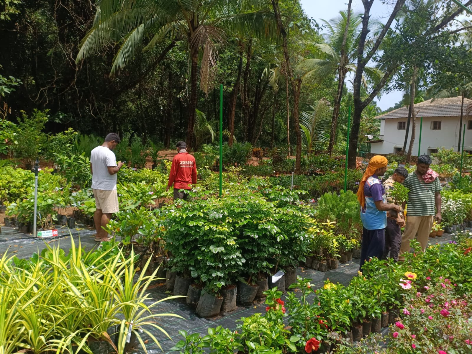 Padutirupathi Nursery image 2