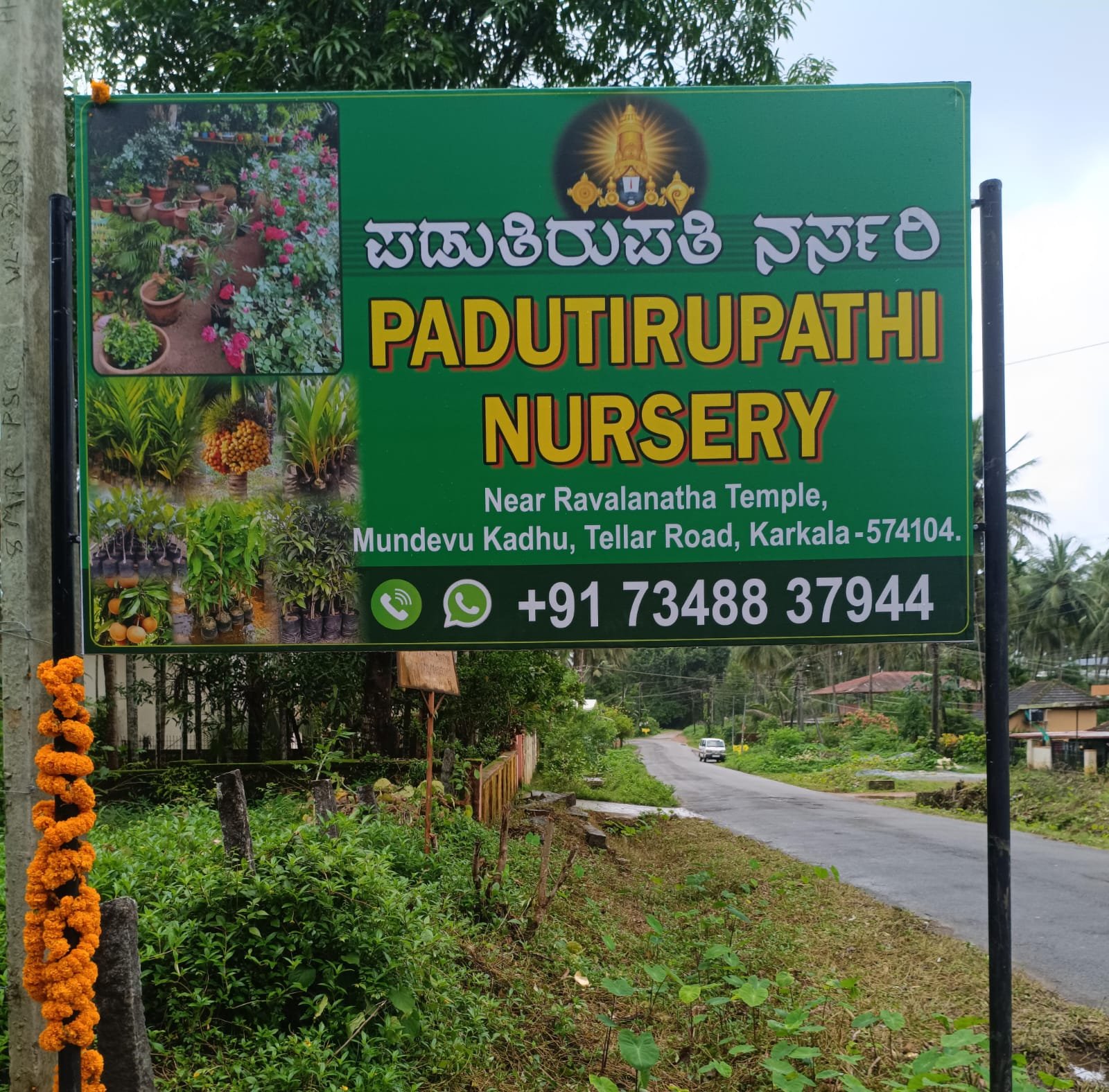 Padutirupathi Nursery